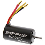 Thunder Tiger 1/8 Bushmaster Ace 2000KV Ripper Brushless Motor IBL-40/20 - bmaster_motor_2114914a-d8c0-4b6b-b311-fed997593188