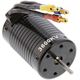 Thunder Tiger 1/10 Jackal Desert Buggy 3600kV Brushless Motor - jackal_motor_491c94a8-d934-4143-81d4-337cfbe16de4